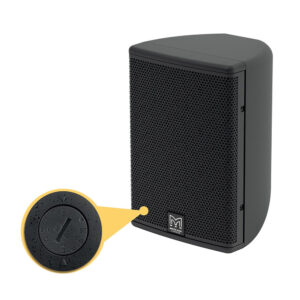 CDD5-TX-WR - 5" Passive Coaxial Differential Dispersion Outdoor Loudspeaker