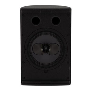 CDD6 - 6" Passive Coaxial Differential Dispersion Loudspeaker